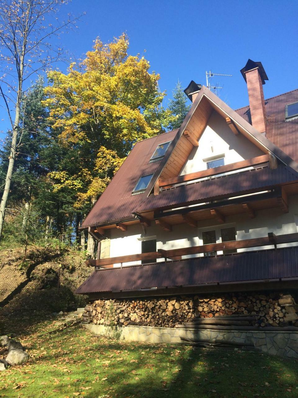 Apartamenty Sobiczkowa Wyspa Kościelisko Exterior foto