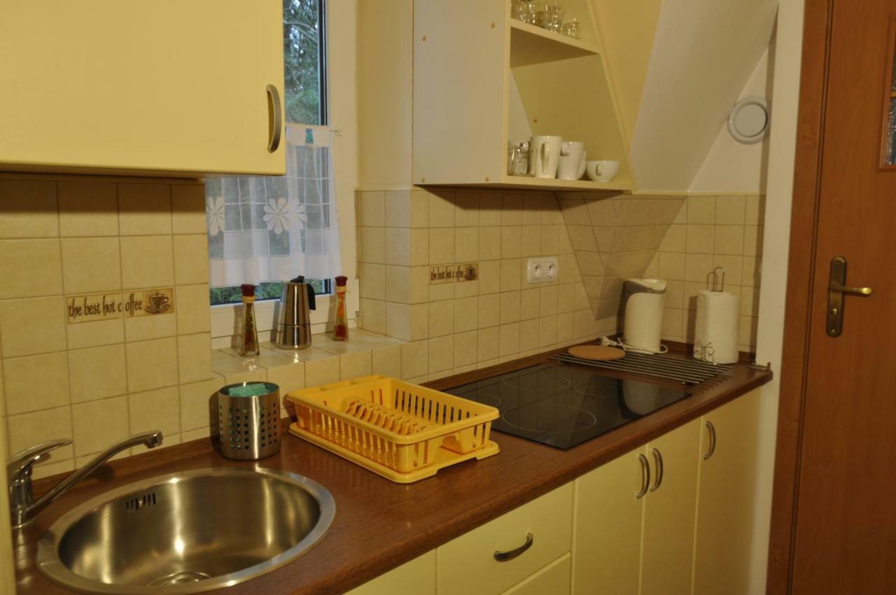 Apartamenty Sobiczkowa Wyspa Kościelisko Exterior foto